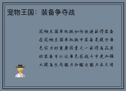 宠物王国：装备争夺战