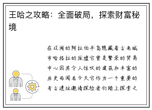 王哈之攻略：全面破局，探索财富秘境